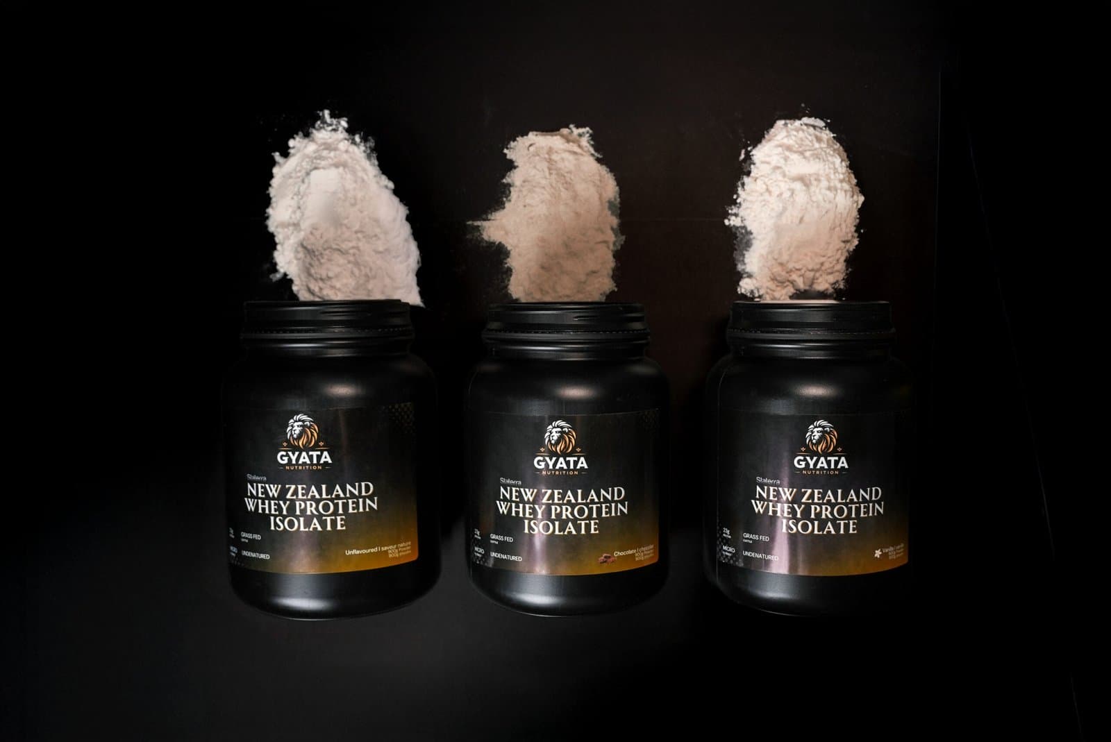 Whey protein supplement guide – protein powder in Canada